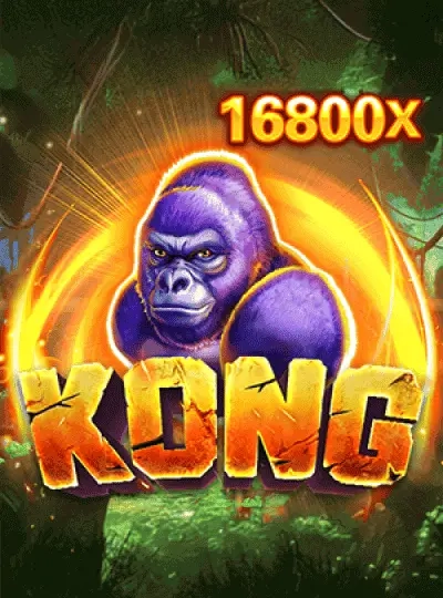 tl999 tl999